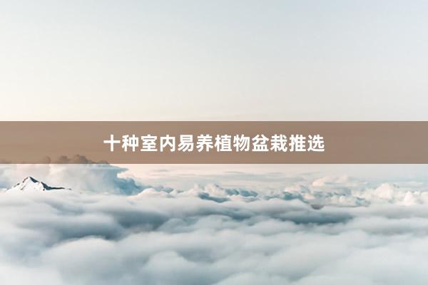 十种室内易养植物盆栽推选